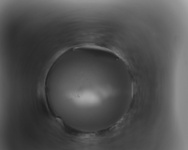 X0000089730147200706281555