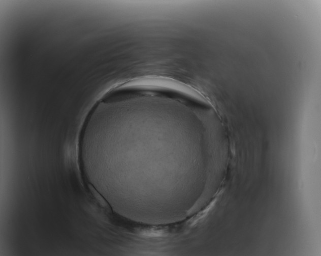 X0000089730148200706281555
