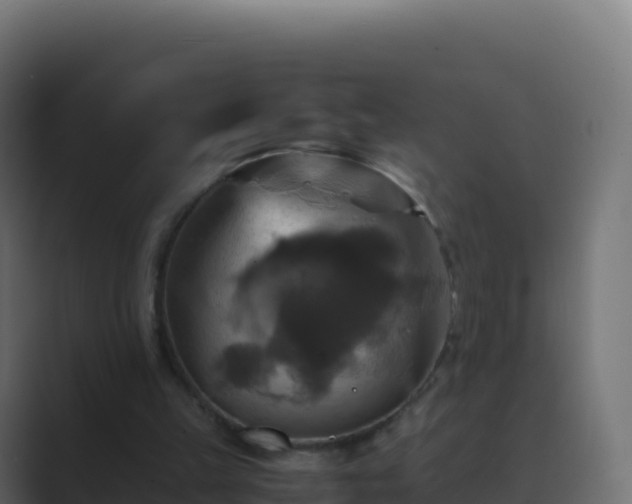 X0000089730149200706281555