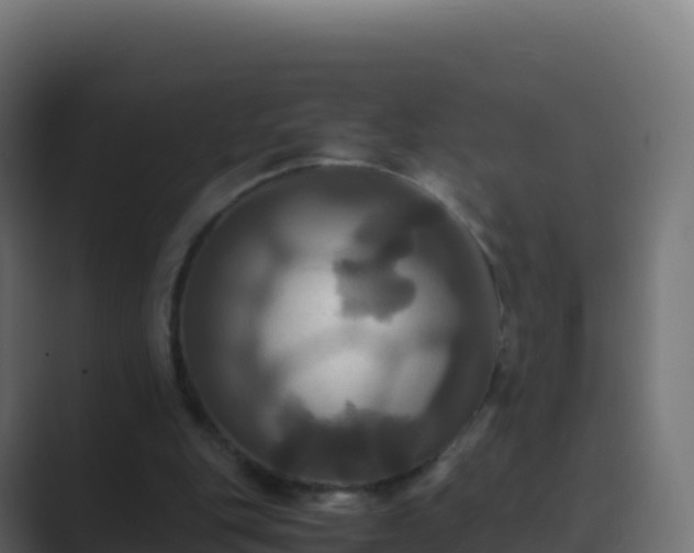 X0000089730151200706281555