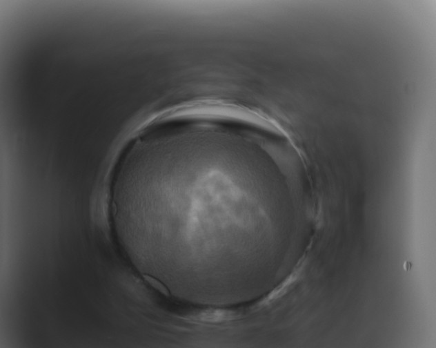 X0000089730152200706281555