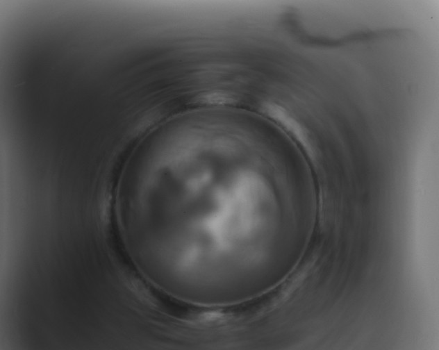 X0000089730153200706281555