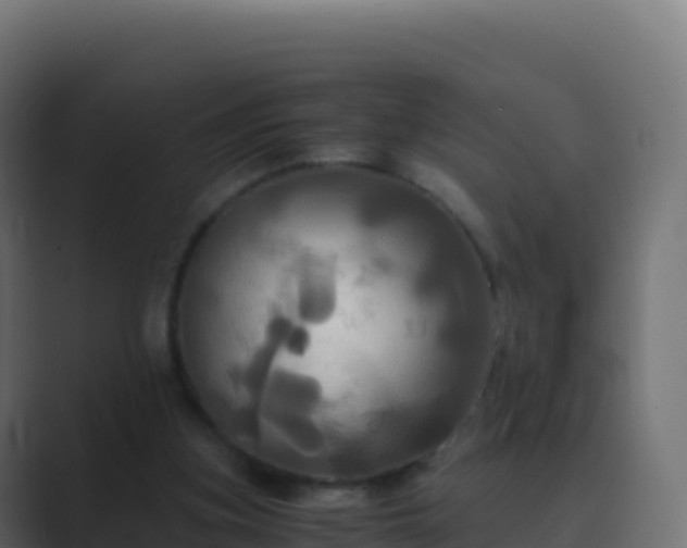 X0000089730155200706281555