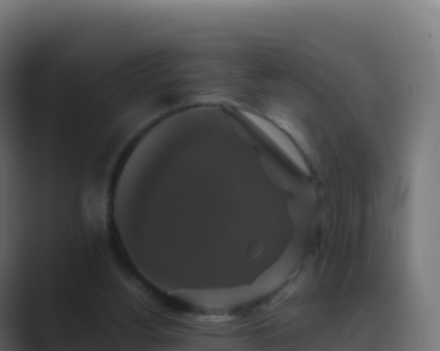 X0000089730156200706281555