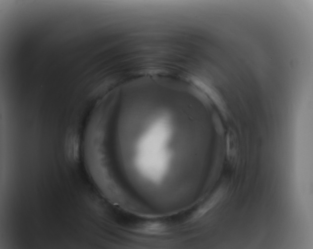 X0000089730157200706281555