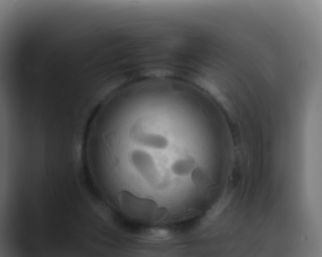 X0000089730159200706281555