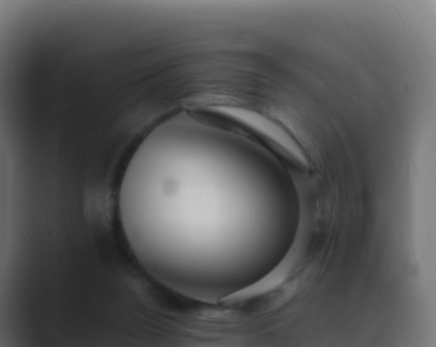 X0000089730160200706281555