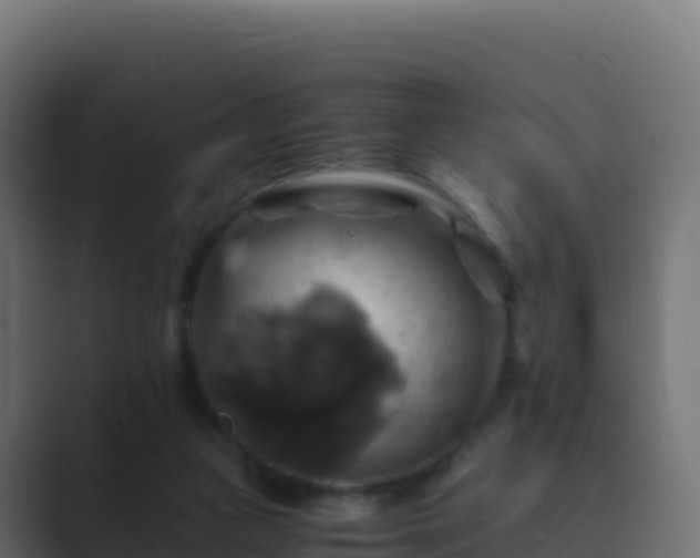 X0000089730161200706281555
