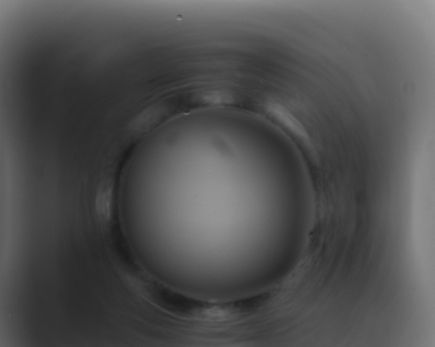 X0000089730163200706281555