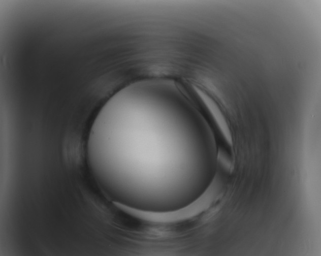 X0000089730164200706281555