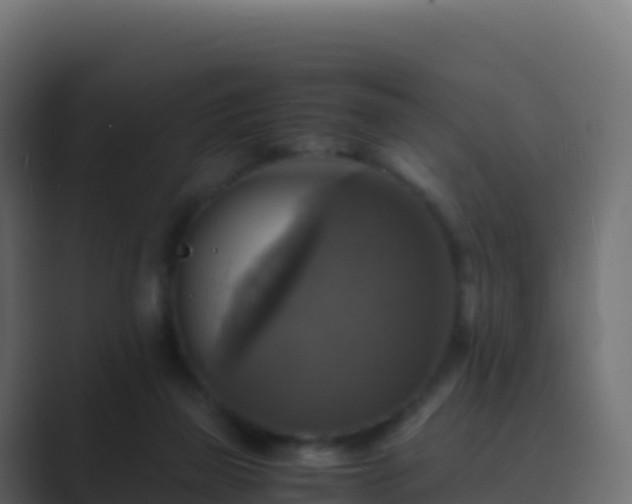 X0000089730165200706281555