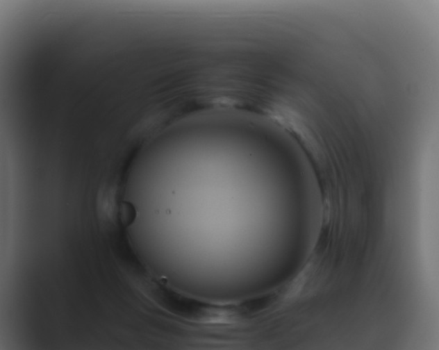 X0000089730167200706281555