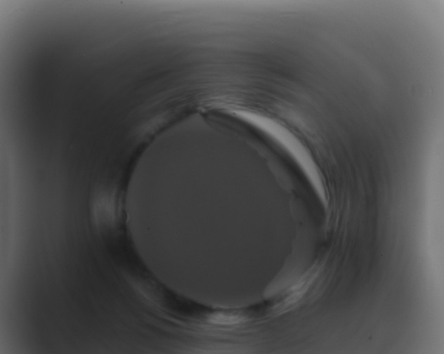 X0000089730168200706281555