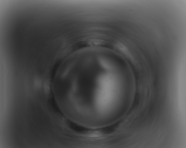 X0000089730169200706281555