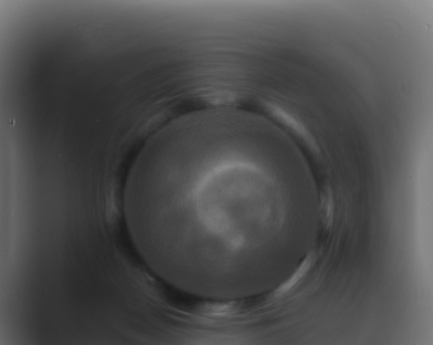 X0000089730170200706281555