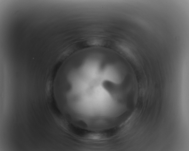 X0000089730171200706281555