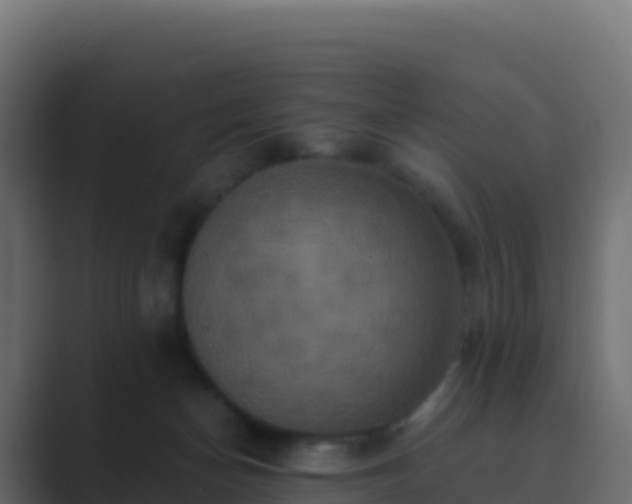 X0000089730174200706281555