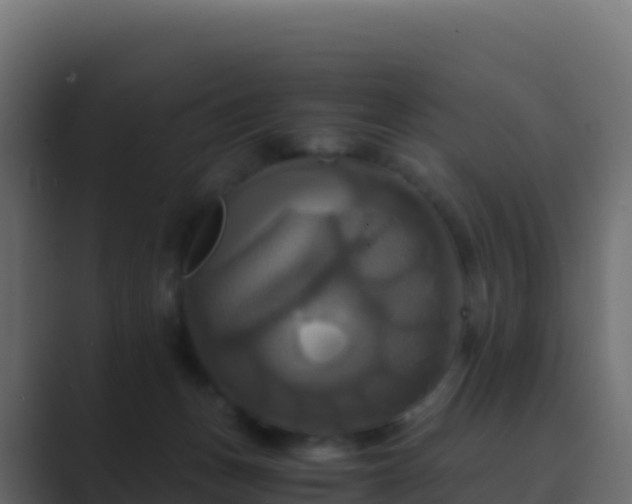 X0000089730175200706281556