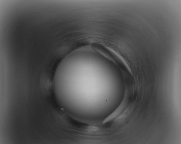 X0000089730176200706281556