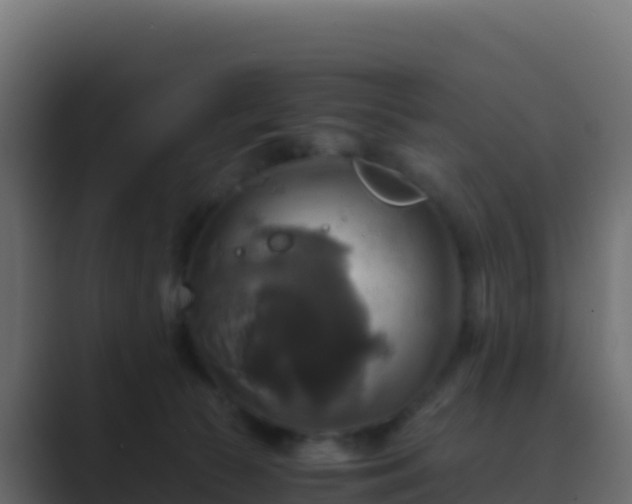 X0000089730177200706281556