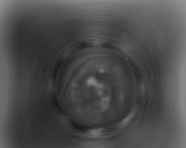 X0000089730178200706281556
