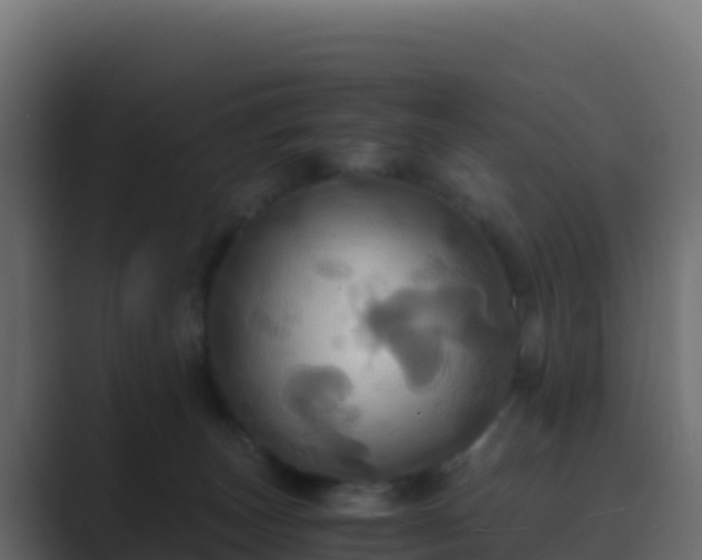 X0000089730179200706281556