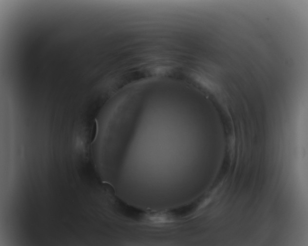 X0000089730181200706281556