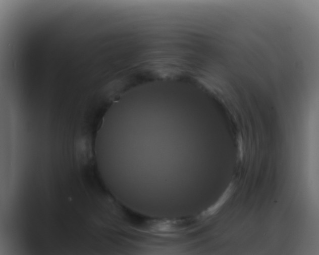 X0000089730182200706281556