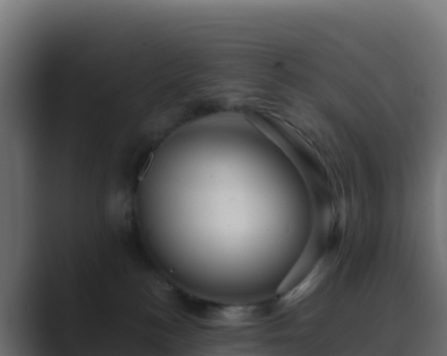 X0000089730184200706281556