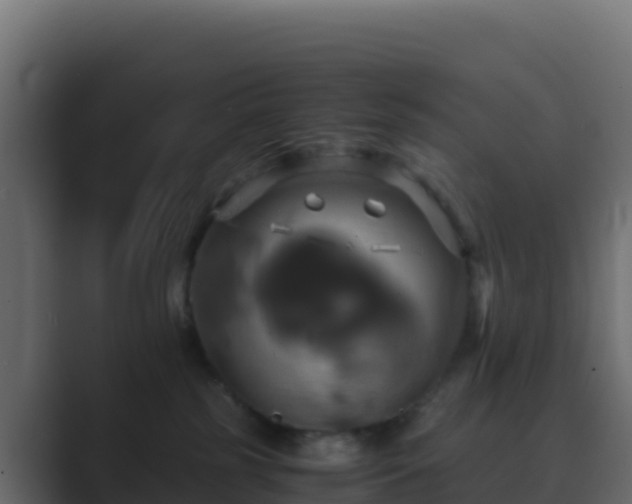 X0000089730185200706281556