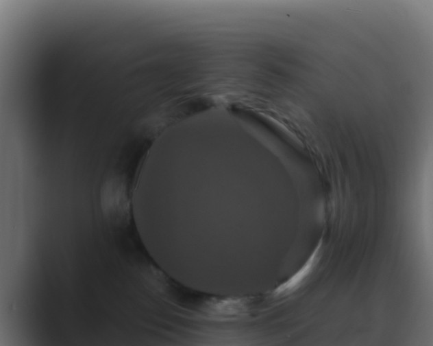 X0000089730186200706281556