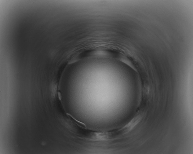 X0000089730188200706281556