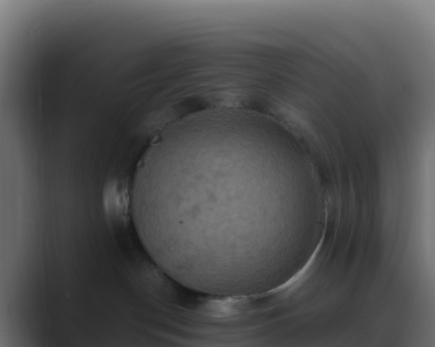 X0000089730190200706281556