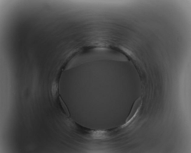 X0000089730192200706281556