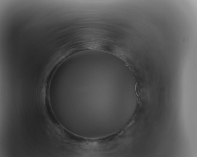X0000089730194200706281555