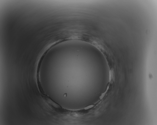 X0000089730195200706281555