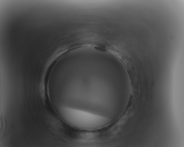 X0000089730198200706281555