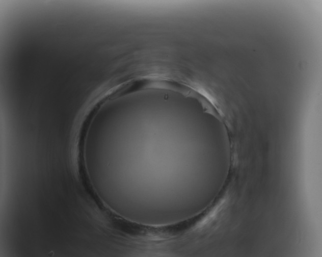 X0000089730199200706281555