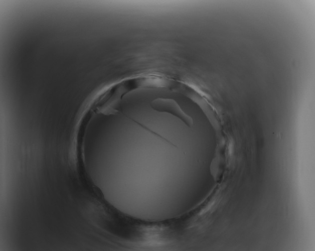 X0000089730200200706281555