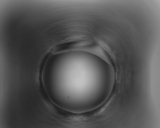 X0000089730201200706281555