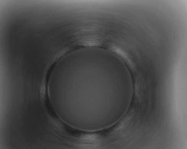 X0000089730202200706281555