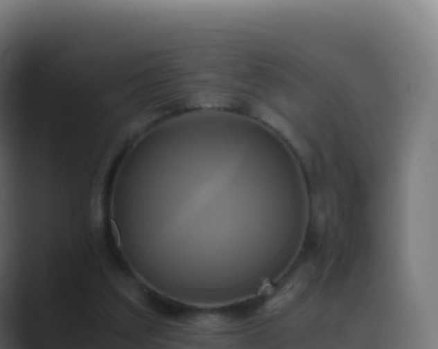 X0000089730203200706281555