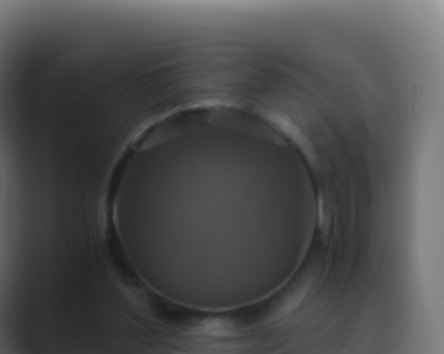 X0000089730204200706281555