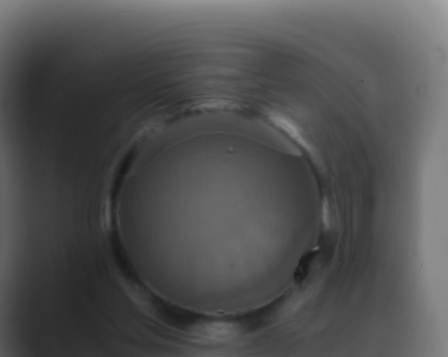 X0000089730205200706281555