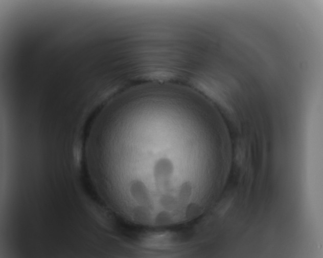 X0000089730206200706281555