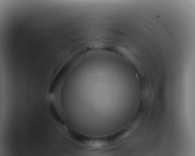 X0000089730209200706281555
