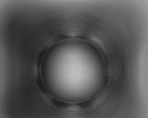 X0000089730210200706281555