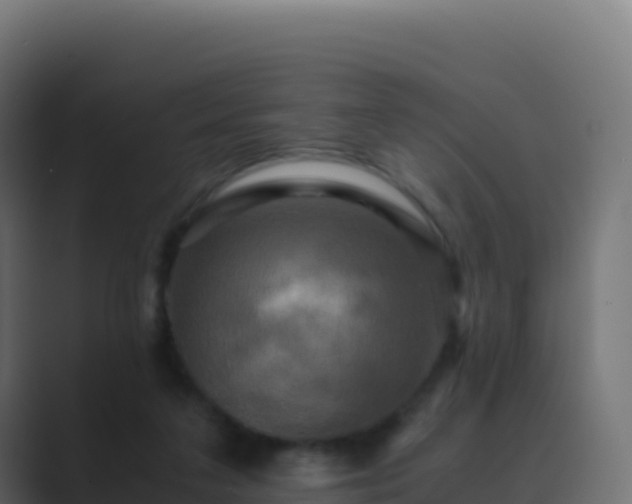 X0000089730211200706281555