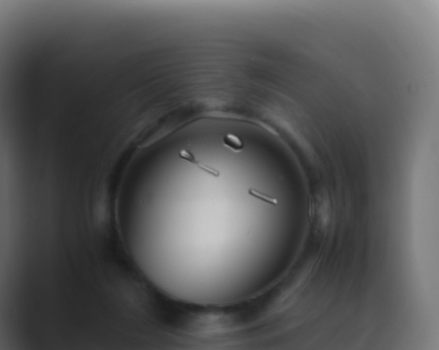 X0000089730212200706281555