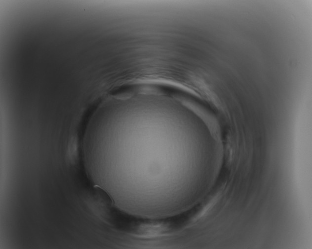 X0000089730213200706281555